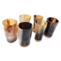 Viking Drinking horn shot glasses set of 6