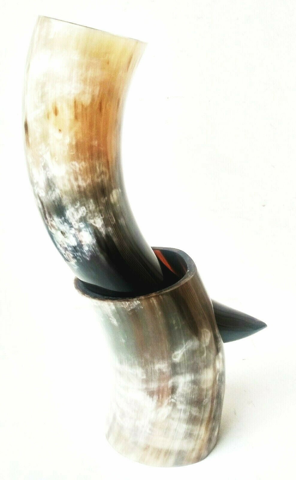 Viking Drinking Horn 10oz Beer Medieval Mug (300ml) - view 6